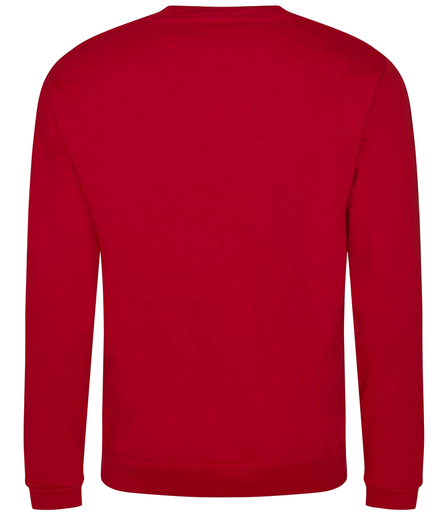 Pro RTX Sweatshirt (back)